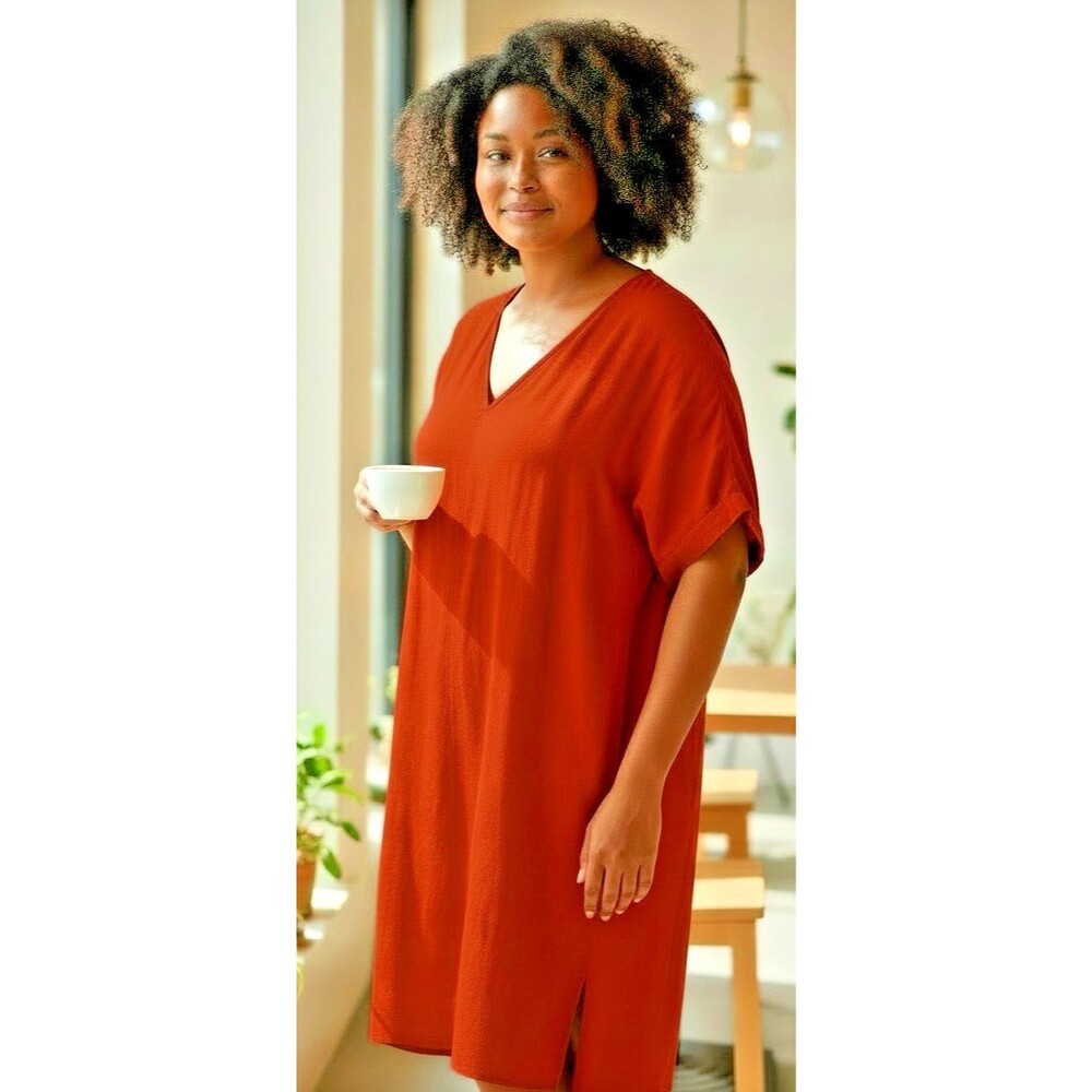 Madewell NEW womens shift clay colored dress v-neck raglan sleeve XXL summer